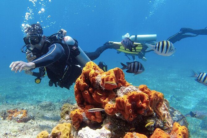 Fun Dive Machine in Playa del Carmen or Cozumel-For Certificates - The Speedboat Advantage When You Choose Cozumel