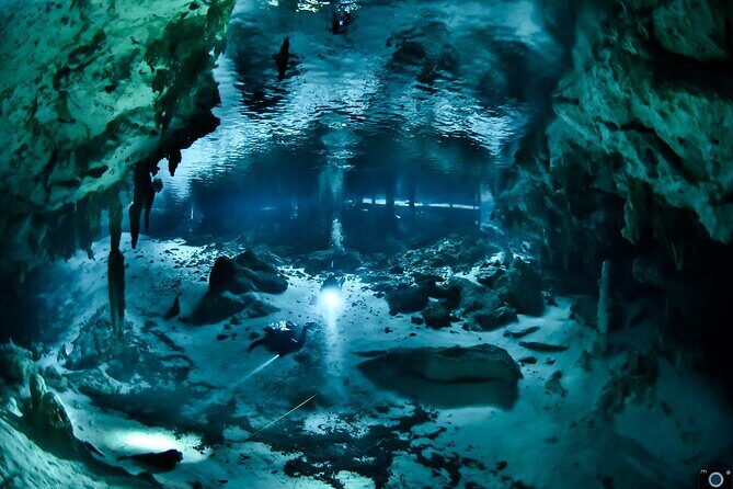 Go for 2 dives in cenote Dos ojos for certified divers - Logistics that matter in Tulum: meeting point, transport, and what’s not included
