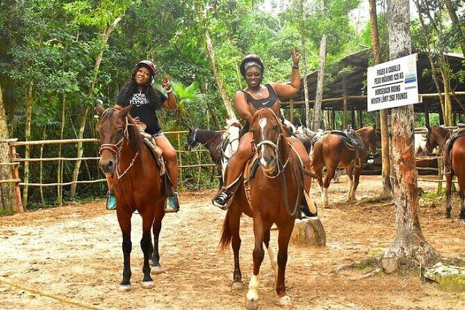 Half Day Horseback Riding Adventure with Cenotes in the Jungle - The Half-Day Flow: What You Actually Do From Start to Finish