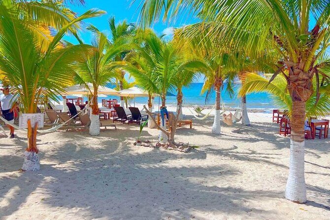 Half-Day Island Tour with Mayan Experience & Beach Break - Guides and vehicles: this is where your day can change
