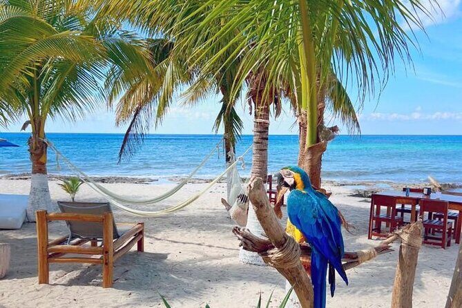 Half-Day Island Tour with Mayan Experience & Beach Break - Tips, sales pressure, and how to handle it calmly