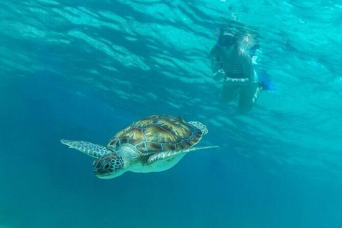 Half Day Luxury Sailing Experience in Riviera Maya with Open Bar - Paddle boarding and swimming: the easy way to get wet (without stress)