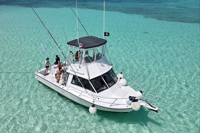 Half Day Private Fishing Charter in Cozumel - La Caleta Check-In: The Quick Start Before You Cast