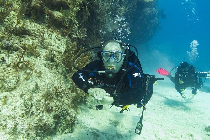 Half-Day Scuba Diving in Playa del Carmen for Small-Group - What you’ll see underwater: corals, tropical fish, and the animals to look for
