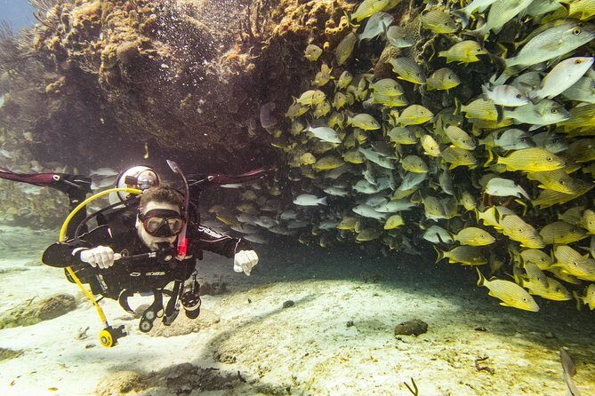 Half-Day Scuba Diving in Playa del Carmen for Small-Group - Who should book this reef outing—and who should skip it
