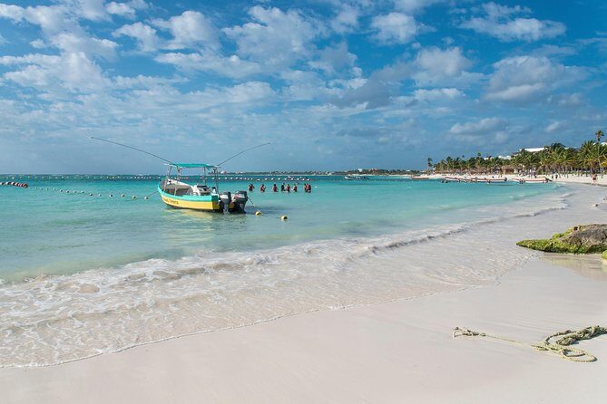 Half-Day Sea Turtle and Cenote Snorkeling Tour from Cancun & Riviera Maya - Snorkeling With Sea Turtles and a Cenote in One Half-Day