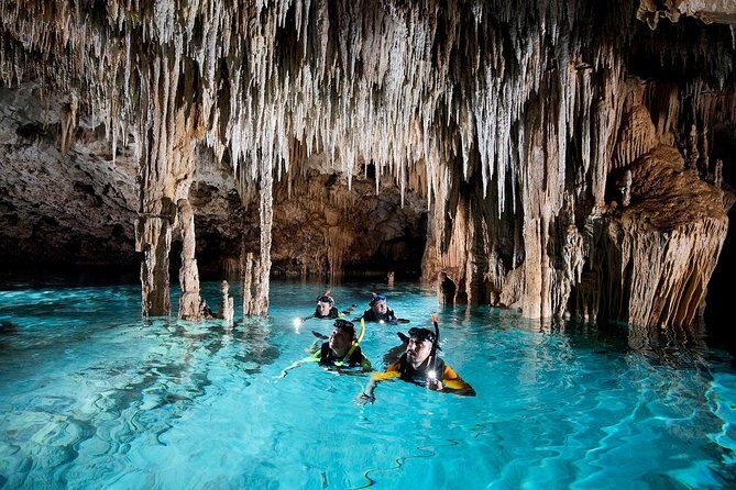 Half-Day Sea Turtle and Cenote Snorkeling Tour from Cancun & Riviera Maya - Akumal Beach Snorkel: The Turtle Spotting Moment