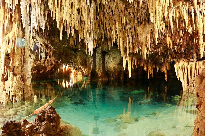 Half-Day Sea Turtle and Cenote Snorkeling Tour from Cancun & Riviera Maya - How the Snorkeling Works in Practice (and Why It Can Feel Crowded)