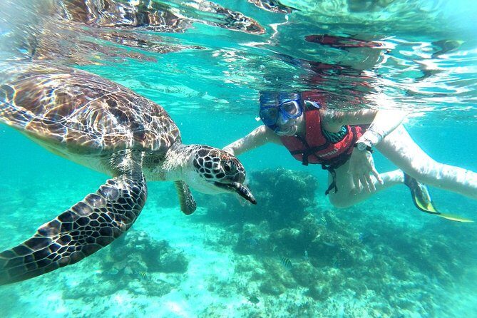 Half-Day Sea Turtle and Cenote Snorkeling Tour from Cancun & Riviera Maya - Photos, Phones, and the Photo Package Reality Check