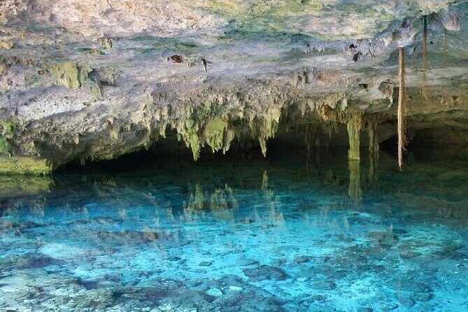 Half Day Semiprivate Snorkeling with Turtles and Majestic Cenote - Why this turtles-plus-cenote combo works near Tulum