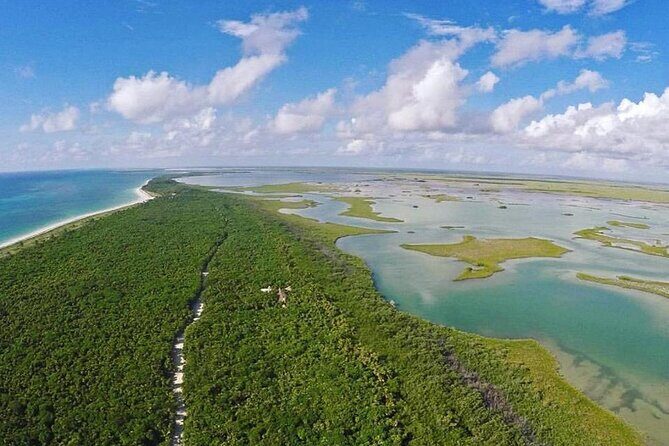 Half-Day Tour Discovering Sian Ka´an with Lunch - Wildlife Viewing Tips: How to Get More From the Boat Ride