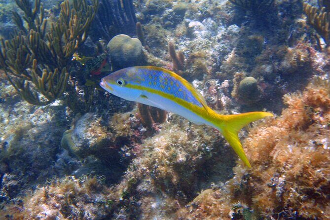 Half-Day Tour Discovering Sian Ka´an with Lunch - Price and Value: Is $204 Worth It?
