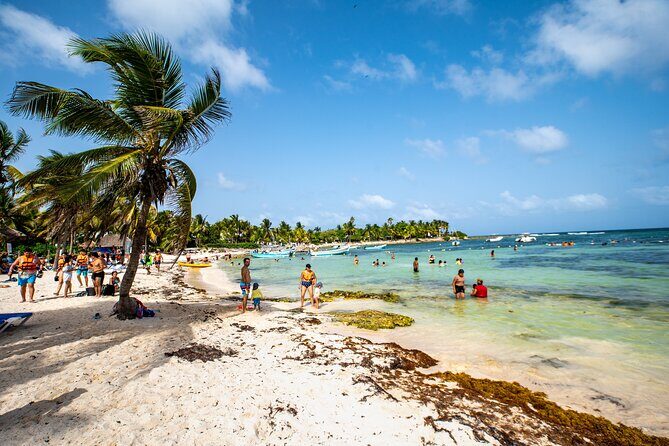 Half Day Tour: Turtles Encounter in Akumal Beach - Group size and comfort: why max 18 matters