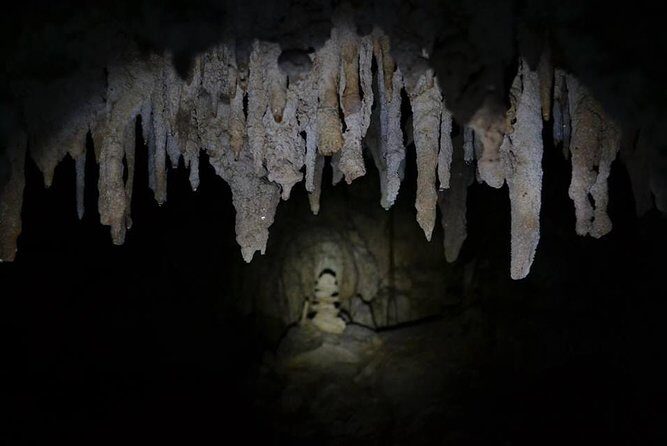 Hidden Cenote exploration in Playa del Carmen - Lunch cooked on site: the meal that turns the tour into a full experience
