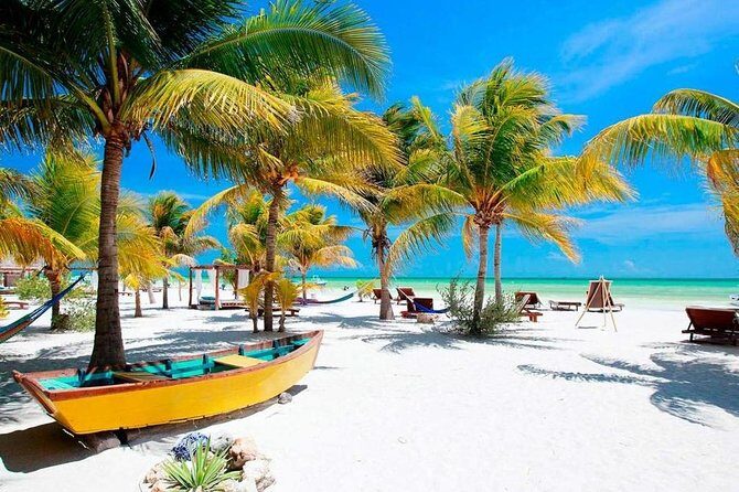 Holbox Island Full Day Trip with Lunch From Playa del Carmen - Price and value: what you’re really paying for