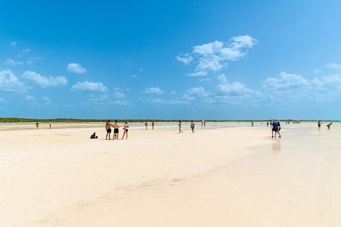 Holbox Island Tour with Pasion Island and Punta Mosquito - Isla de la Pasion: views, birds, and a fast nature hit
