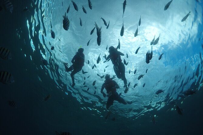 Invisible Boat Snorkeling Tour - Inside the invisible boat setup: what makes it feel different