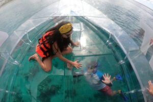 Invisible Boat Snorkeling Tour - Price and fees: what you’re really paying in Cozumel