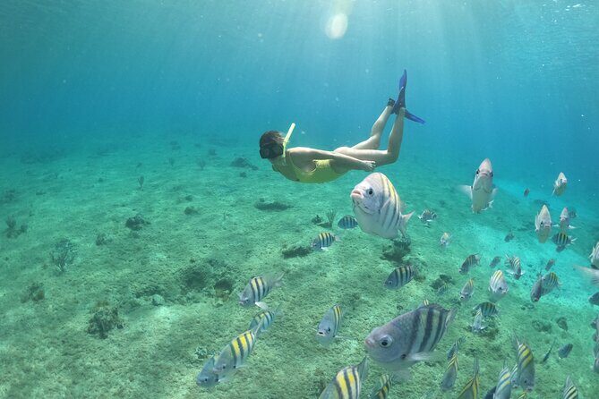 Invisible Boat Snorkeling Tour - Clear-hull viewing tips that make a difference