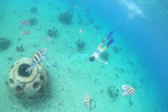 Invisible Boat Snorkeling Tour - Guides and crew: the human side of the trip