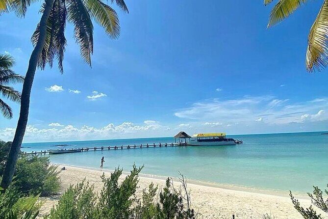 Isla Contoy Adventure Tour & Isla Mujeres from Playa del Carmen - Isla Contoy: bird sanctuary rules, beaches, and guided time