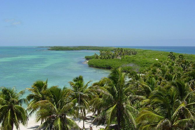 Isla Contoy Hidden Beauty! Transportation from Riviera Maya - Snorkeling at Ixlache Reef: the 35-minute plan and the weather reality