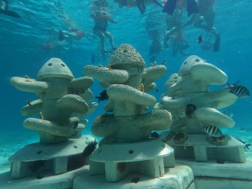 Isla Mujeres: Full Day Private Catamaran with Snorkeling - Private 36-ft catamaran: the comfort part people forget
