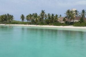 Isla Mujeres Unlimited! Fun & Party with transportation - Snorkeling at Punta Sam Reef: what you’re actually signing up for