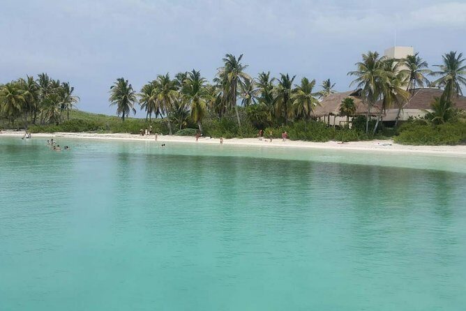 Isla Mujeres Unlimited! Fun & Party with transportation - Snorkeling at Punta Sam Reef: what you’re actually signing up for
