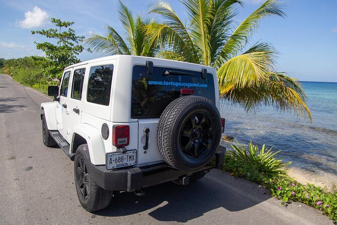 Jeep Exploration & All Inclusive Tortugas Beach Break (Private) - Tortugas Beach Club: snorkeling, lunch choices, and the open bar reality
