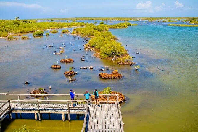 Jeep Safari All Inclusive Private Tour - Price, Time, and Real Value at $92.99