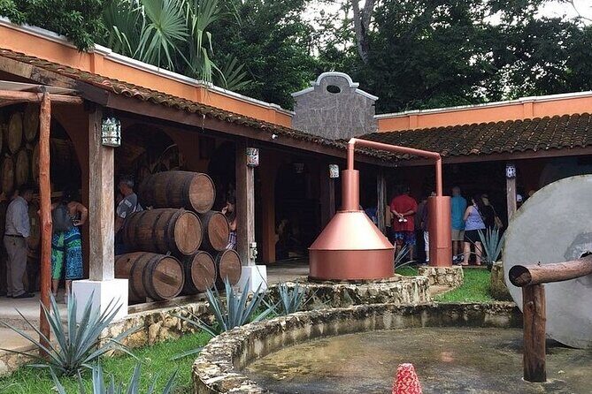 Jeep Tour of Cozumel with Lunch and Beach Club - Stop 5: Playa Chen Rio lagoon saltwater pool and crocodiles nearby