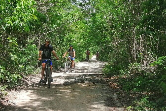 Jungle Bike Tour from Playa del Carmen with Bath in a Cenote - Why the 8:00 am jungle start changes everything