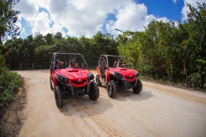 Jungle Buggy Tour from Playa del Carmen Including Cenote Swim - Jungle Buggy Meets Cenote Swim in Playa del Carmen
