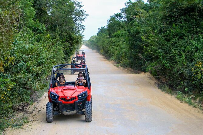 Jungle Buggy Tour from Playa del Carmen Including Cenote Swim - Cenote Cave Swim: The Main Event You Should Plan Around