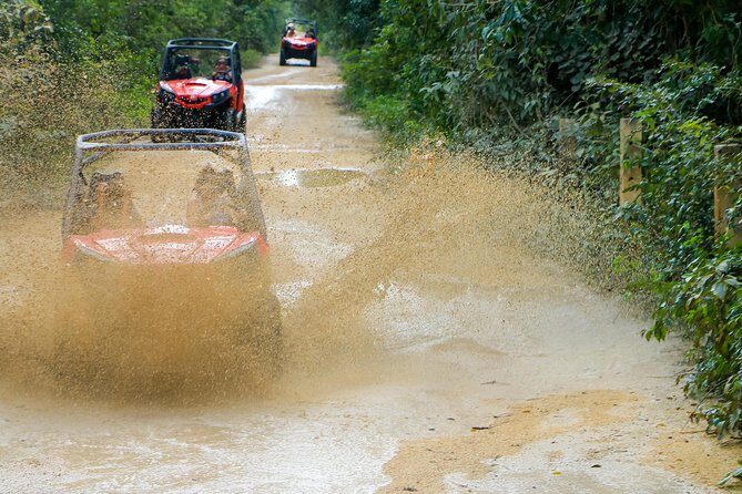 Jungle Buggy Tour from Playa del Carmen Including Cenote Swim - Snorkeling Gear, Goggles, and Photo Moments