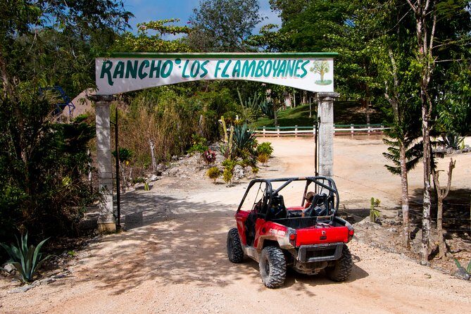 Jungle Buggy Tour from Playa del Carmen Including Cenote Swim - Group Size, Sharing the Driving, and Single-Rider Limits