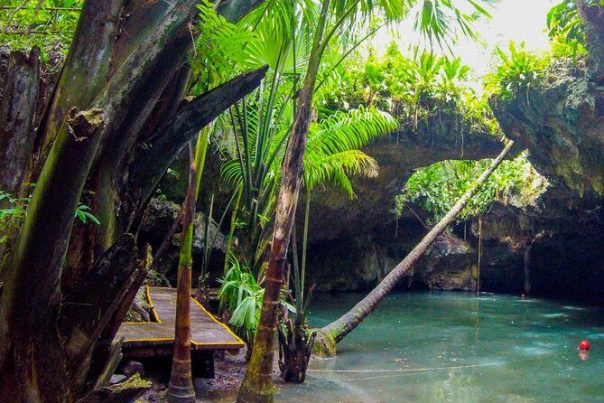 Jungle Jeep Adventure to Mayan Caves, Cenote and Snorkel - What This Cozumel Jeep Adventure Feels Like in Real Life