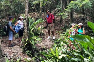Jungle Jeep Adventure to Mayan Caves, Cenote and Snorkel - Mi Mexico Lindo Tequila Tour: Tasting Plus Distillation Talk