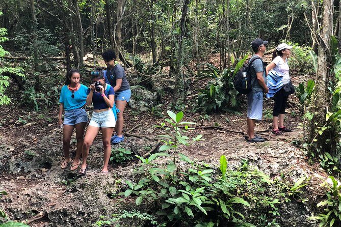 Jungle Jeep Adventure to Mayan Caves, Cenote and Snorkel - Jade Cenote Time: Aerolito de Paraiso and the Cave-Style Jump