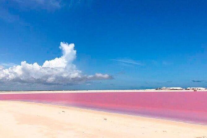 Las Coloradas & Rio Lagartos Biosphere! Transportation from Playa Del Carmen - A 6:30 a.m. Start for Two Famous Yucatán Stops
