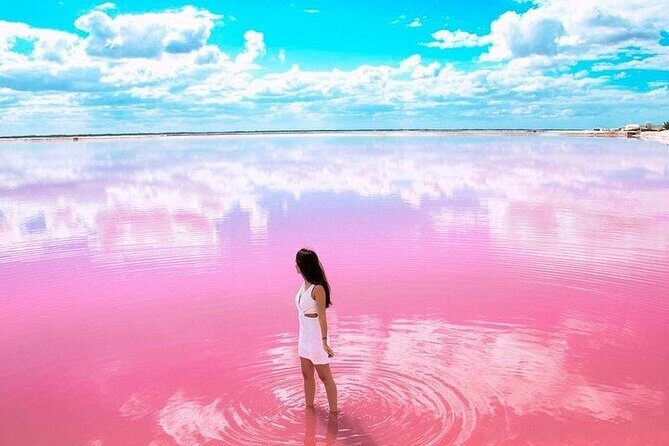 Las Coloradas & Rio Lagartos Biosphere! Transportation from Playa Del Carmen - Timing and Comfort: How to Survive (and Enjoy) a Long Yucatán Day