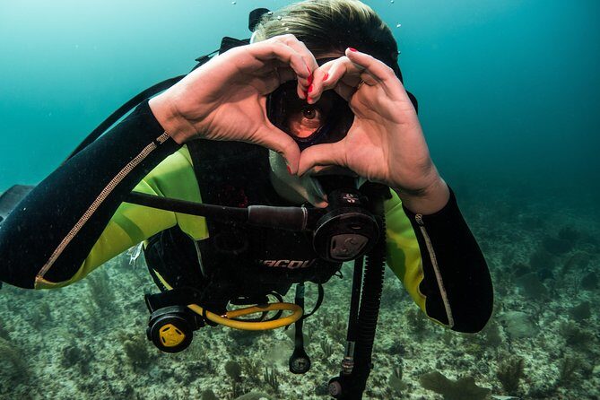 Local Dive in Playa del Carmen - Price and what $155 really buys you