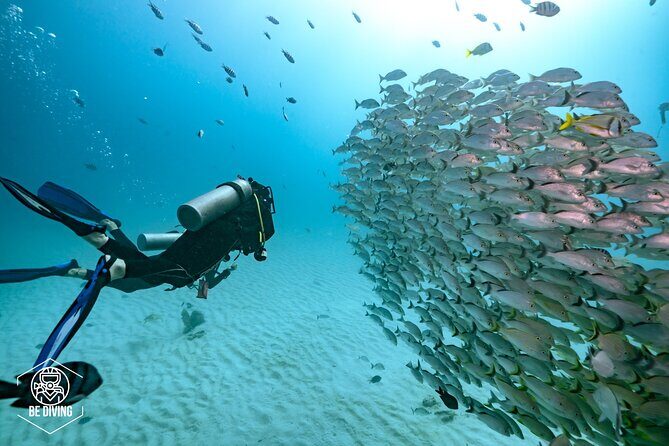 Local Dive in Playa del Carmen - Your certification sets the plan (and that’s the good part)