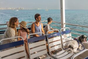 Luxury FERRY Xcaret: From Playa del Carmen to Cozumel - Onboard comfort on the Luxury FERRY Xcaret: AC, WiFi, pets, and the basics done right