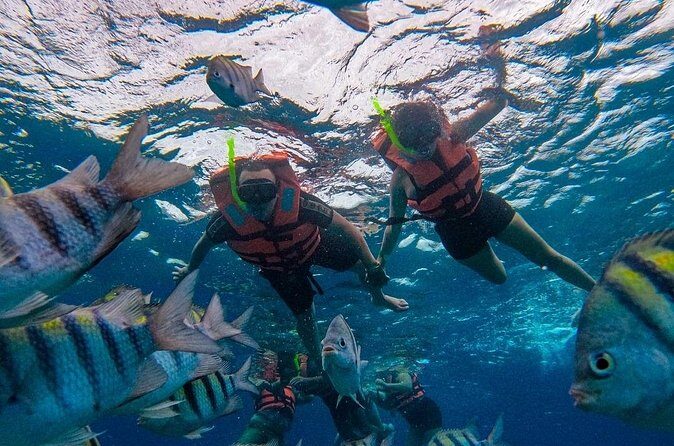 Magnificent Exploration to El Cielo Palancar and Columbia Reefs - What’s included: snorkeling gear, ceviche, and adult drinks