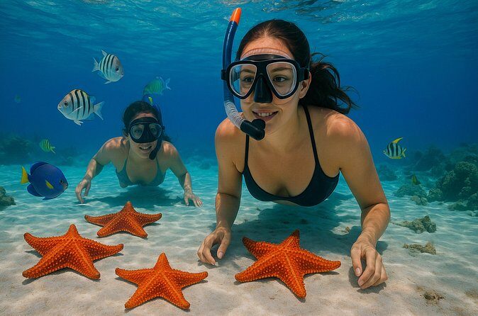 Magnificent Exploration to El Cielo Palancar and Columbia Reefs - Dock and conservation fee: the price math you should do first