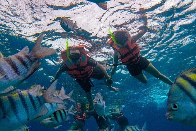 Magnificent Exploration to El Cielo Palancar and Columbia Reefs - Boat ride reality: timing, comfort, and sea-day patience