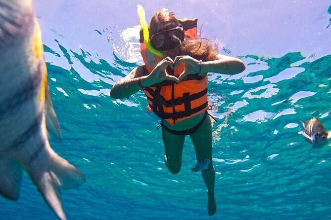 Magnificent Exploration to El Cielo Palancar and Columbia Reefs - Palancar Reef: sea turtles and colorful fish with a calmer vibe