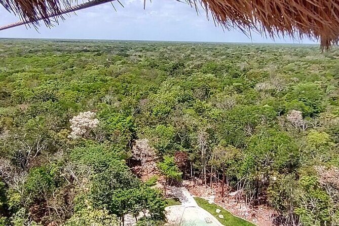 Maya Adrenaline: ATV, Ziplines & Cenote From Playa del Carmen. - ATV time: driving jungle mud roads (with real muscle control)